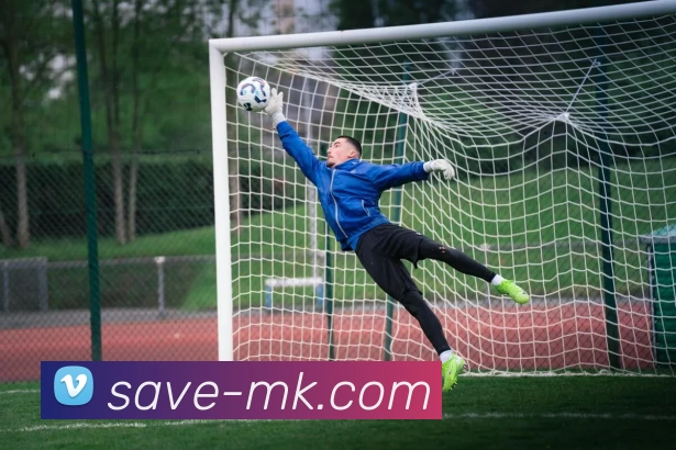 MK体育APP 封面图